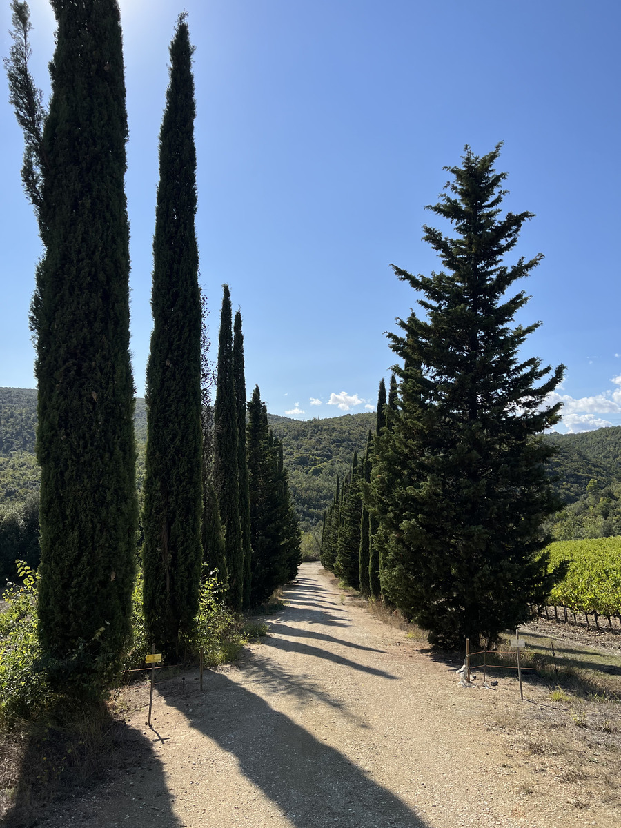 รูปถ่าย อิตาลี(Italy) ทัสคานี(Tuscany) 2021-09 13