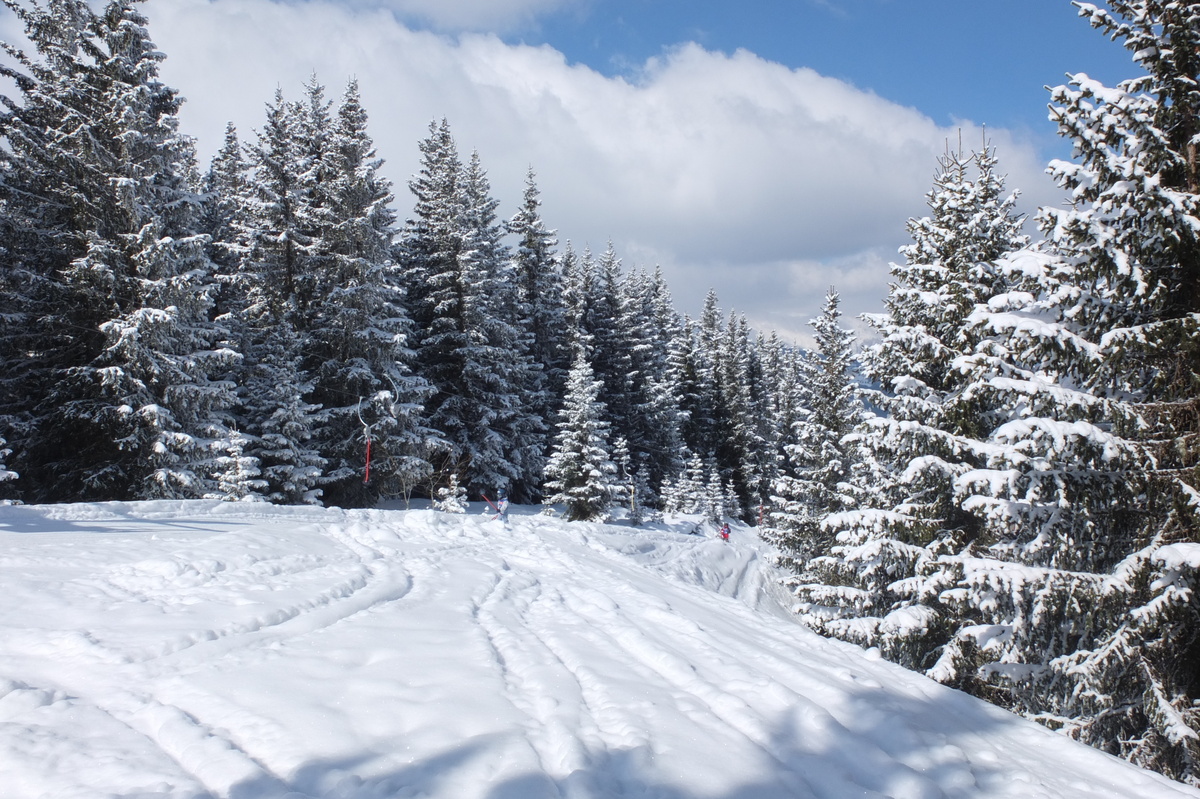 รูปถ่าย ฝรั่งเศส(France) เลทรัววาเล(Les 3 Vallees) 2013-03 49