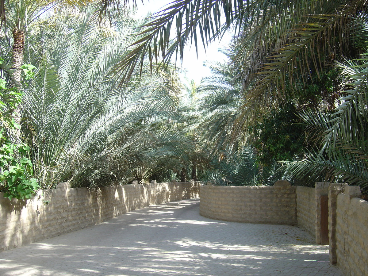 รูปถ่าย สหรัฐอาหรับเอมิเรตส์(United Arab Emirates) อาเลอิน(Al Ain) โอเอซิสอัลไอน์(Al Ain Oasis) 2005-03 24