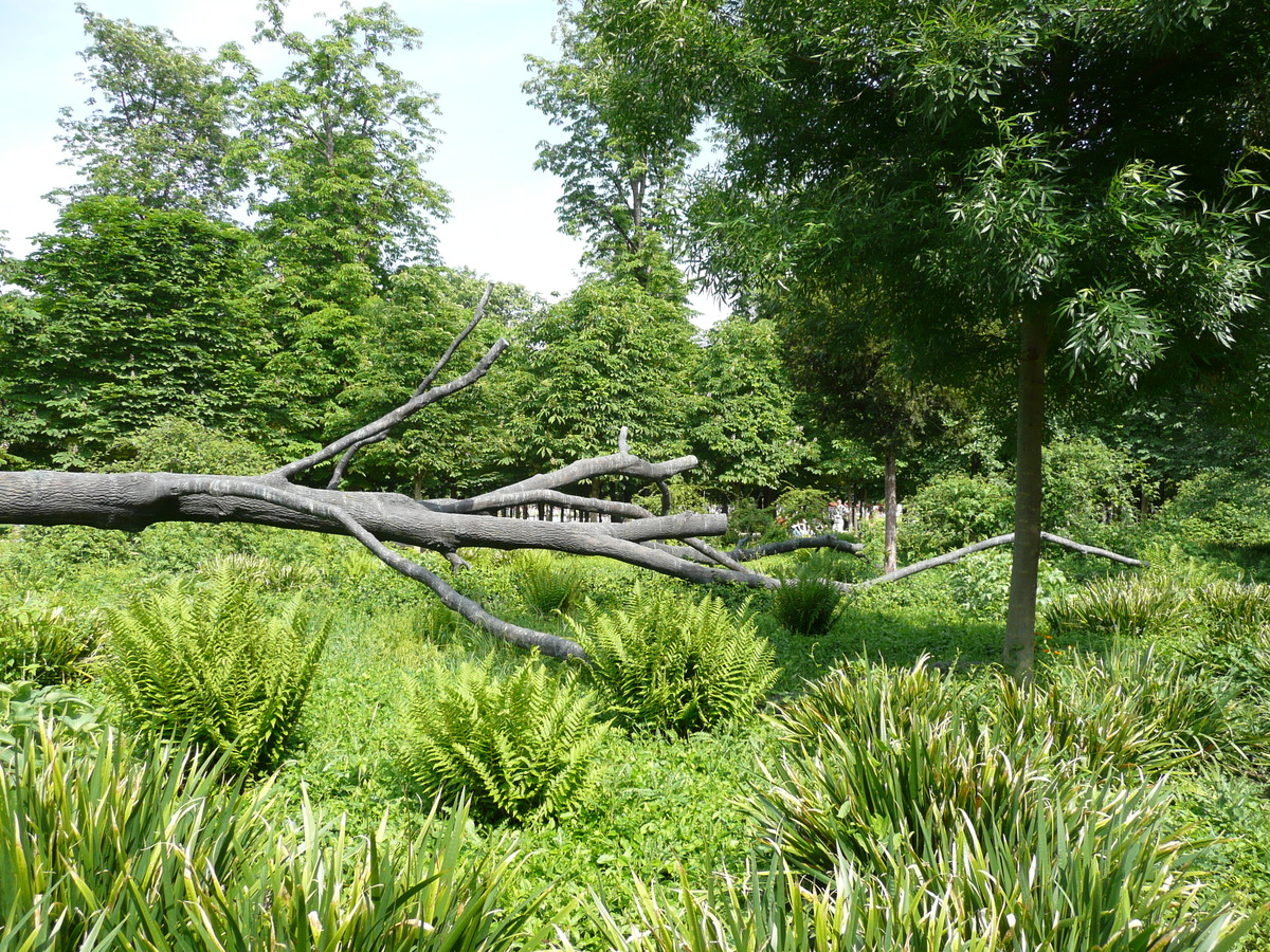 รูปถ่าย ฝรั่งเศส(France) ปารีส(Paris) สวนตุยเลอรี(Garden of Tuileries) 2007-05 231