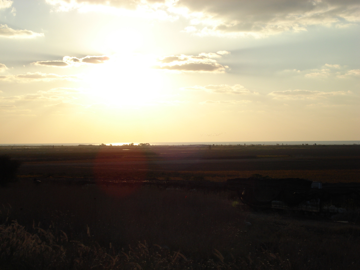 รูปถ่าย อิสราเอล(Israel) จากไฮฟาไปเทลอาวีฟ(From Haifa to Tel Aviv) 2006-12 50