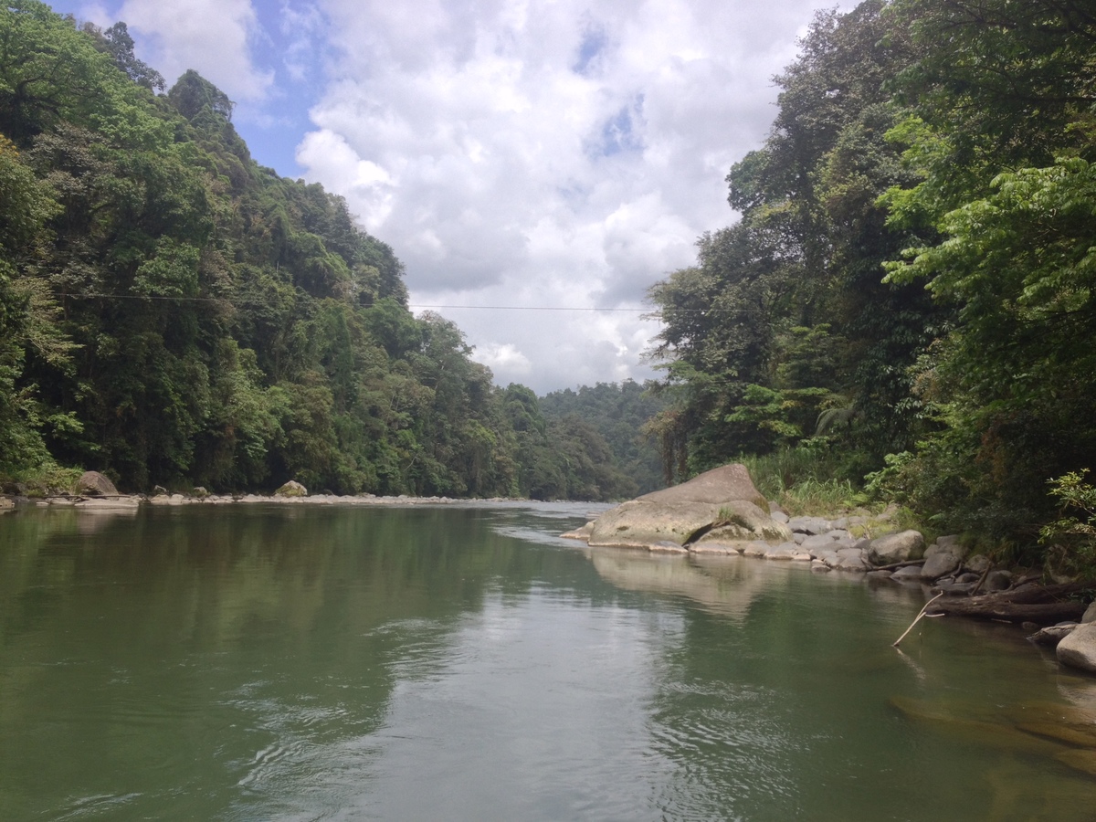รูปถ่าย คอสตาริกา(Costa Rica) แม่น้ำปากัวเร(Pacuare River) 2015-03 124