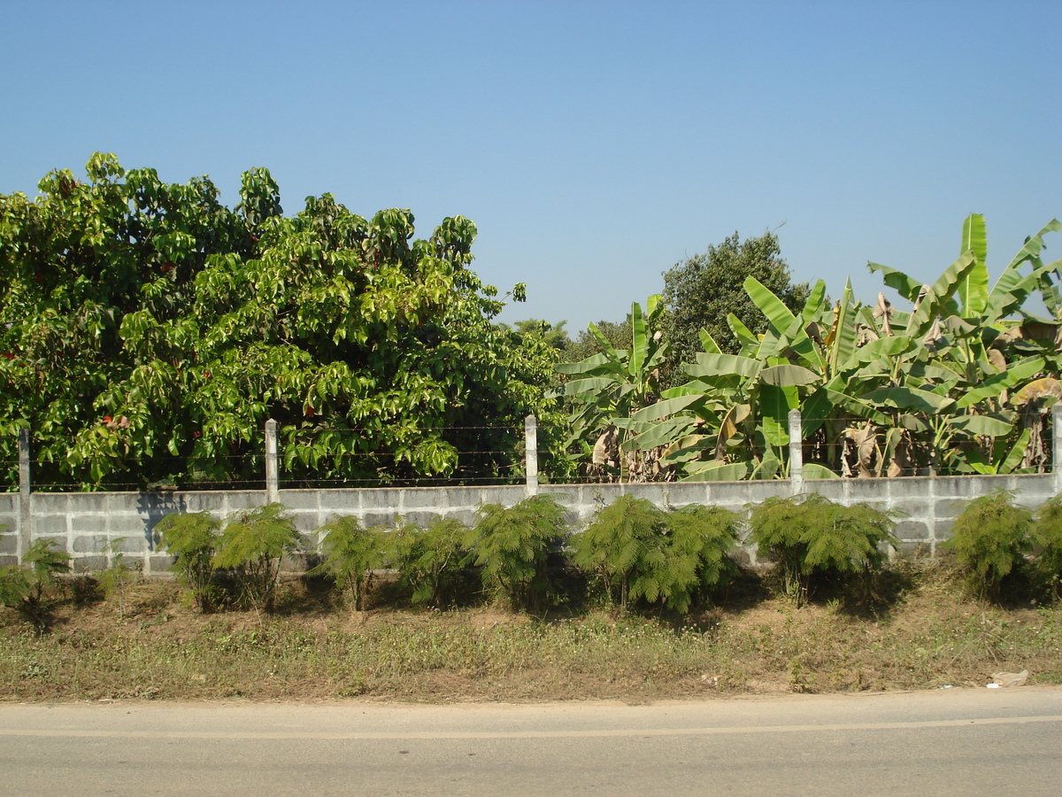รูปถ่าย ไทย(Thailand) พิษณุโลก(Phitsanulok) 2008-01 45