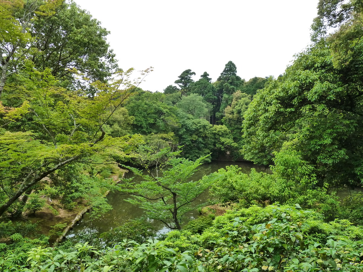 รูปถ่าย ญี่ปุ่น(Japan) เกียวโต(Kyoto) วัดคินกะกุจิ (ศาลาทอง)(Kinkakuji Temple(Golden Pavilion)) 2010-06 57