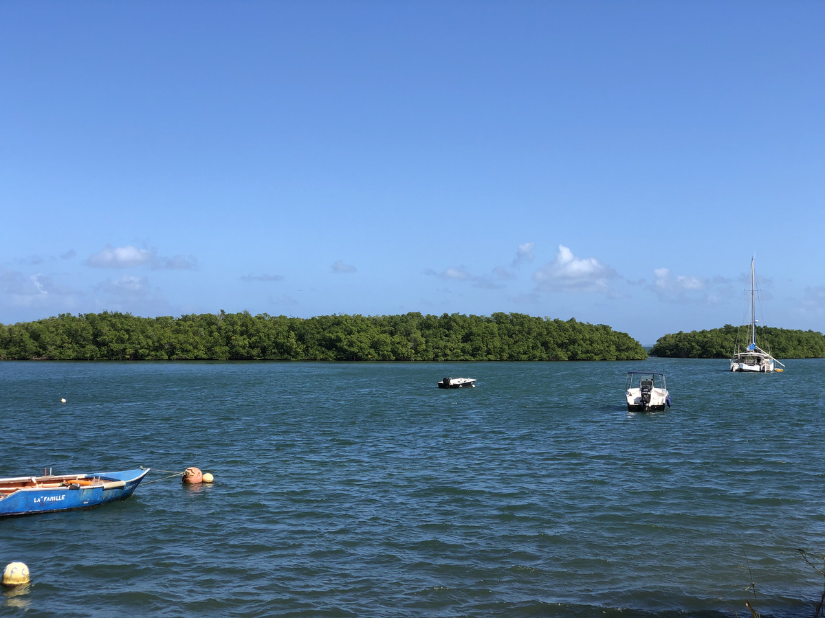 รูปถ่าย กวาเดอลูป(Guadeloupe) แซ็นต์โรส(Sainte Rose) 2021-02 2