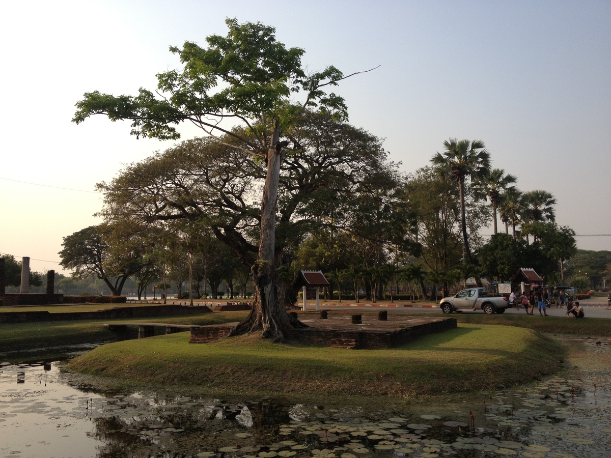 รูปถ่าย ไทย(Thailand) สุโขทัย(Sukhothai) 2014-02 32
