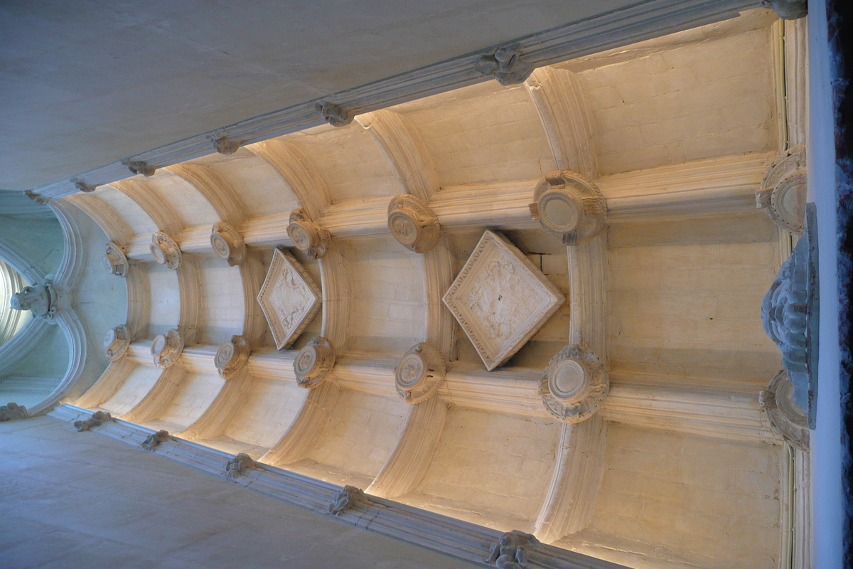 รูปถ่าย ฝรั่งเศส(France) ปราสาทเชอนงโซ(Chenonceau Castle) 2008-04 89