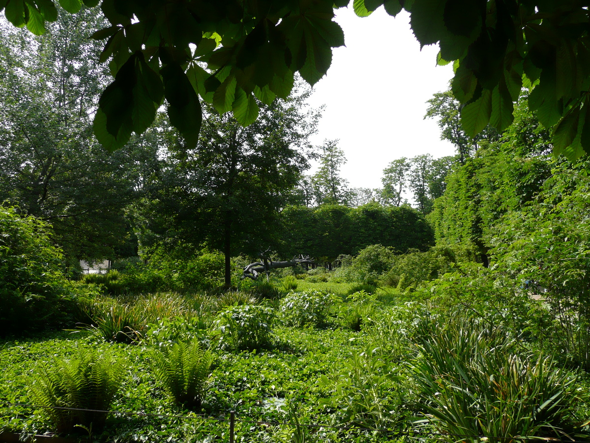 รูปถ่าย ฝรั่งเศส(France) ปารีส(Paris) สวนตุยเลอรี(Garden of Tuileries) 2007-05 151