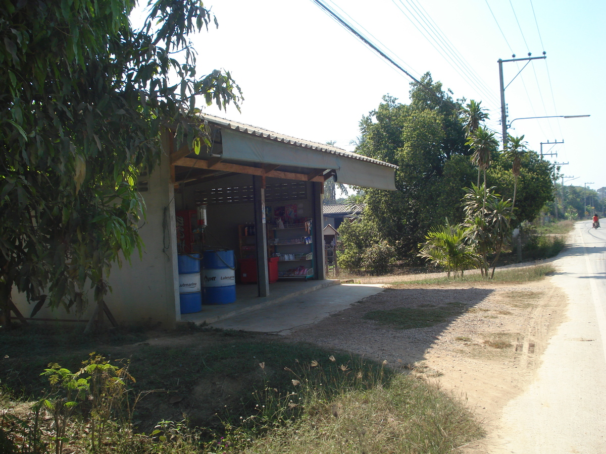 รูปถ่าย ไทย(Thailand) พิษณุโลก(Phitsanulok) 2008-01 5