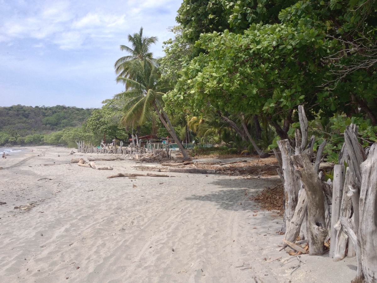 รูปถ่าย คอสตาริกา(Costa Rica) มอนเตซูมา(Montezuma) 2015-03 619