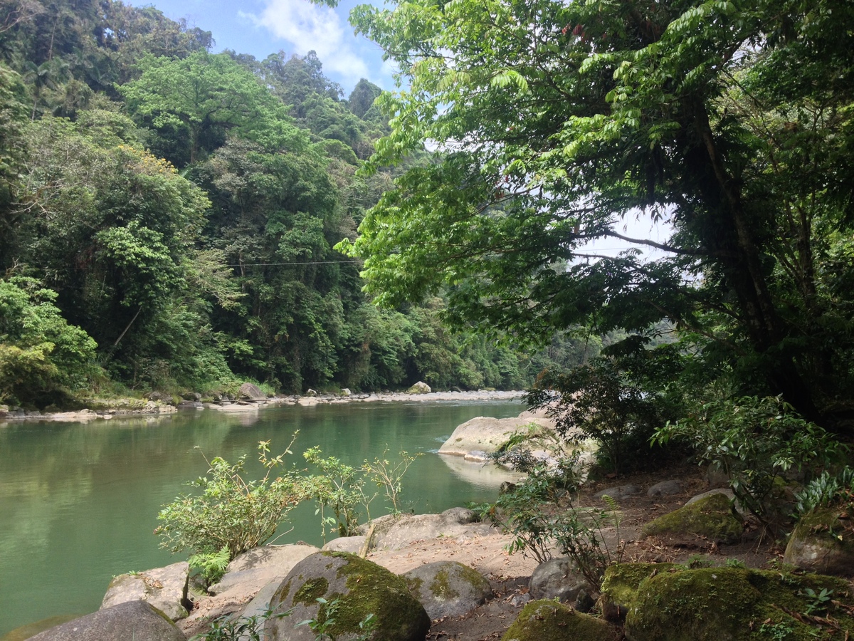 รูปถ่าย คอสตาริกา(Costa Rica) แม่น้ำปากัวเร(Pacuare River) 2015-03 159