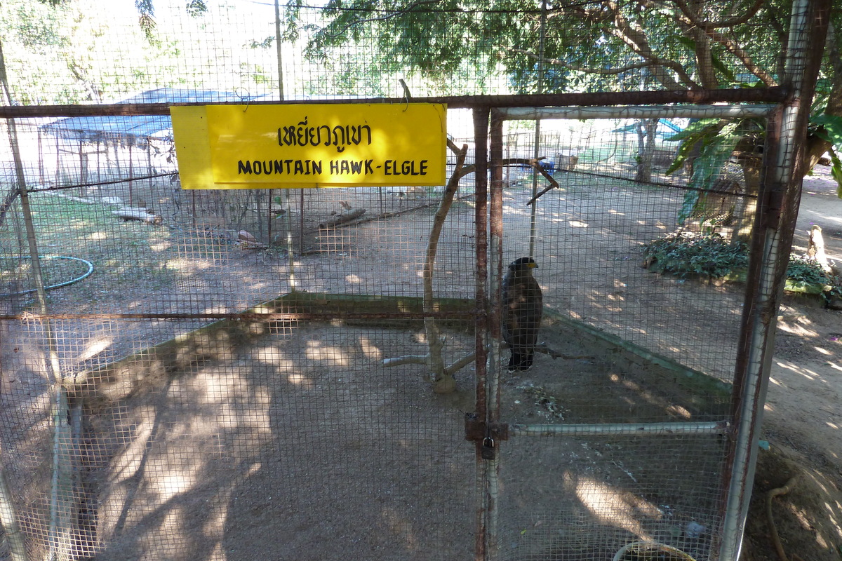 รูปถ่าย ไทย(Thailand) เชียงใหม่(Chiang Mai) ฟาร์มงูแม่สา(Mae Sa Snake Farm) 2010-12 68