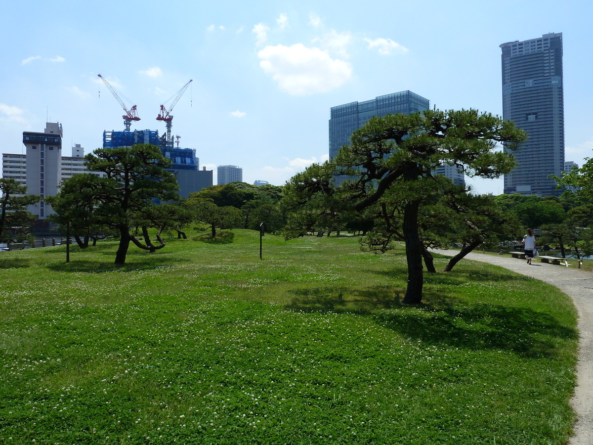 รูปถ่าย ญี่ปุ่น(Japan) โตเกียว(Tokyo) สวนฮามะริคิว(Hama rikyu Gardens) 2010-06 90