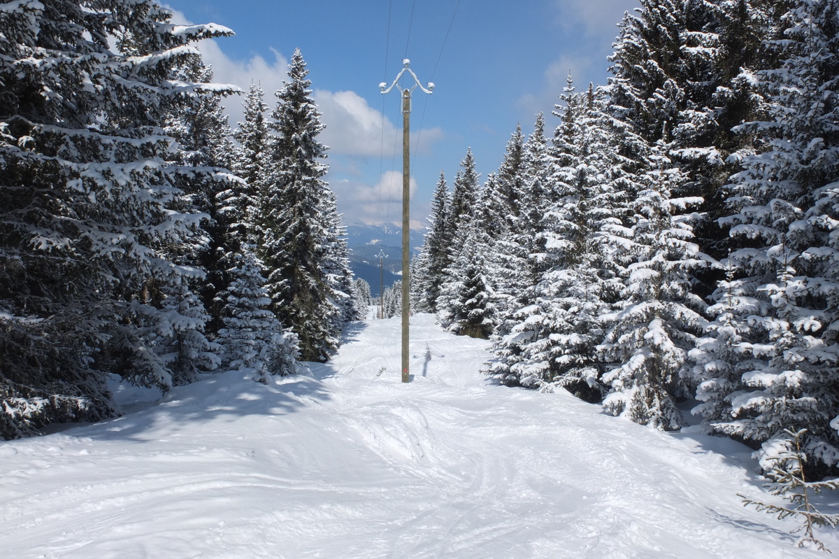 รูปถ่าย ฝรั่งเศส(France) เลทรัววาเล(Les 3 Vallees) 2013-03 355