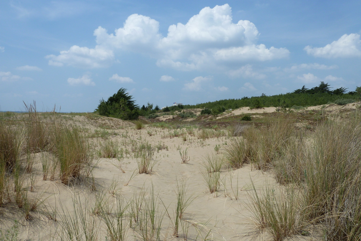 รูปถ่าย ฝรั่งเศส(France) แซ็งเบรแว็ง(St Brevin) 2011-05 28