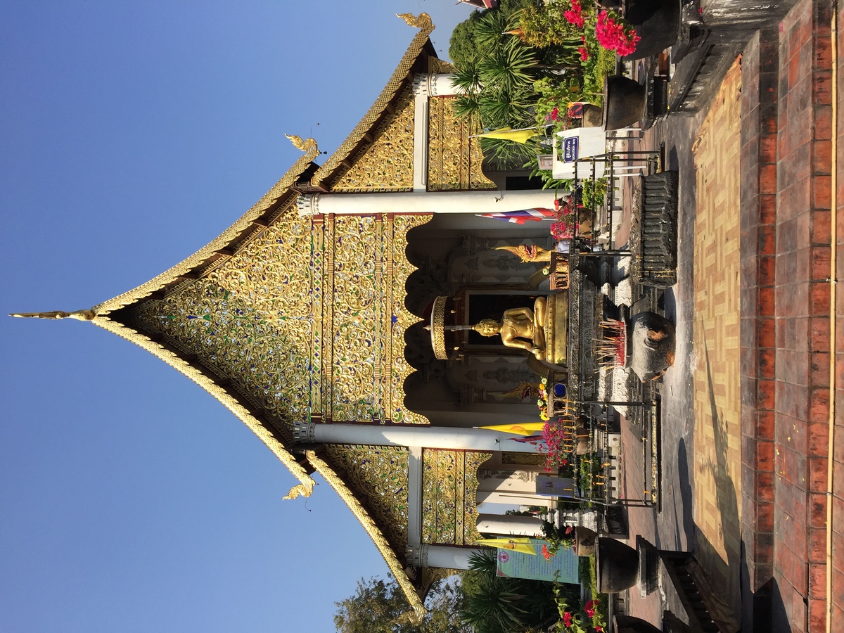 รูปถ่าย ไทย(Thailand) เชียงใหม่(Chiang Mai) 2014-12 53