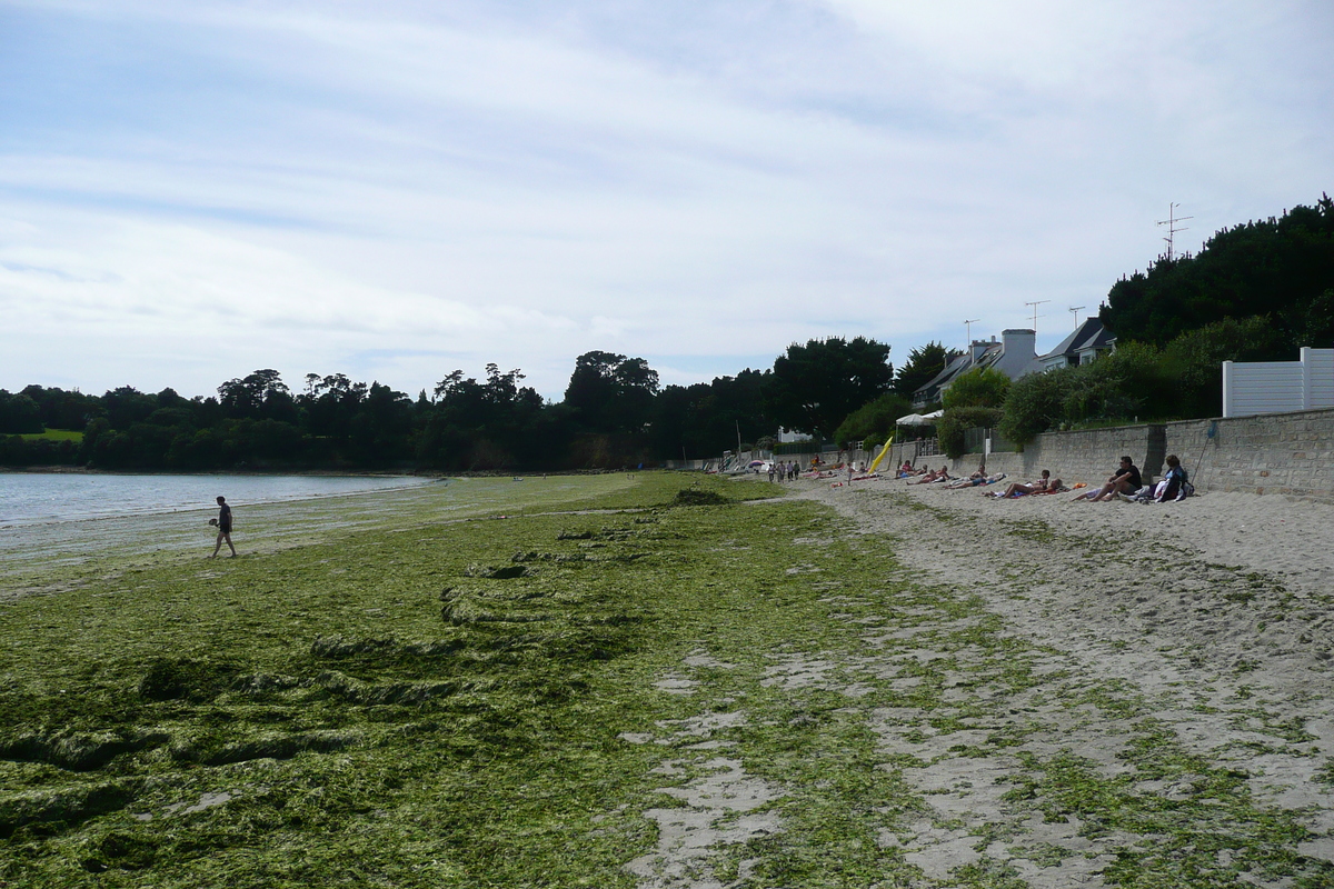 รูปถ่าย ฝรั่งเศส(France) ลาฟอแร-ฟูแอน็อง(La Foret Fouesnant) 2008-07 23
