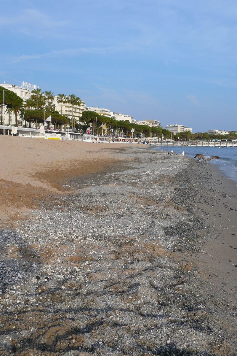 รูปถ่าย ฝรั่งเศส(France) คานส์(Cannes) หาดทราย(Beach) 2008-04 42