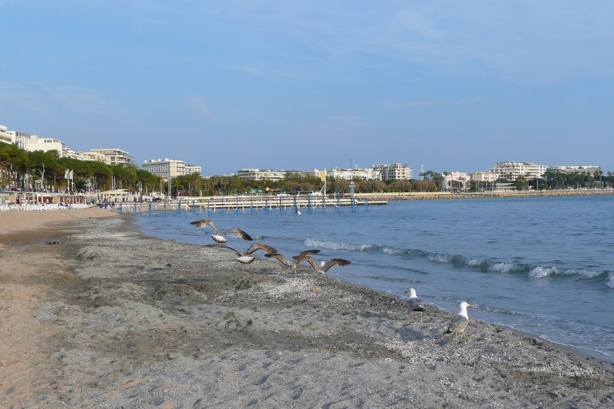 รูปถ่าย ฝรั่งเศส(France) คานส์(Cannes) หาดทราย(Beach) 2008-04 0