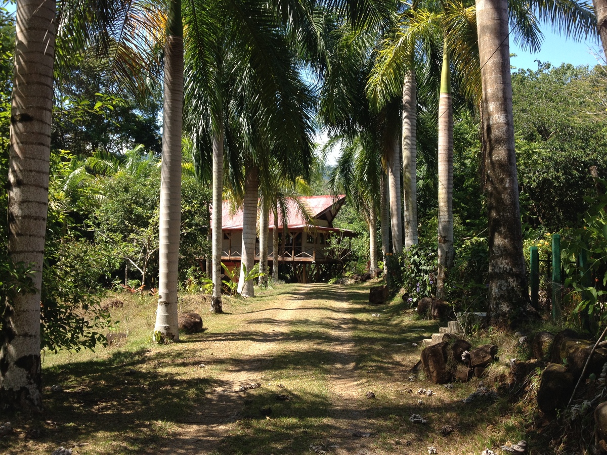 รูปถ่าย คอสตาริกา(Costa Rica) อูบีตา(Uvita) 2015-03 31