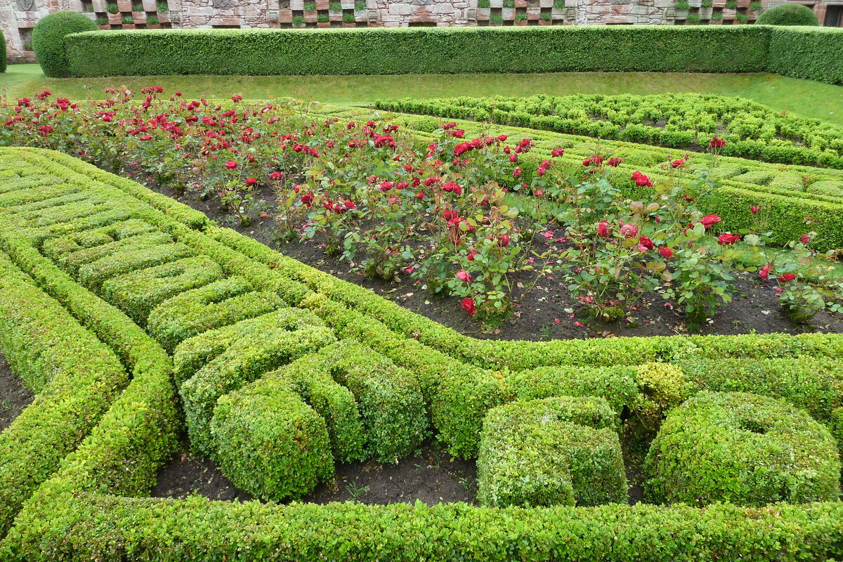รูปถ่าย อังกฤษ(United Kingdom) สกอตแลนด์(Scotland) ปราสาทเอดเซล(Edzell Castle) 2011-07 50