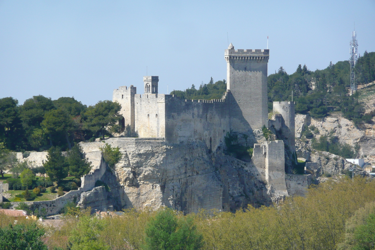 รูปถ่าย ฝรั่งเศส(France) ตาราสกง(Tarascon) ปราสาทตาราสกง(Tarascon Castle) 2008-04 119