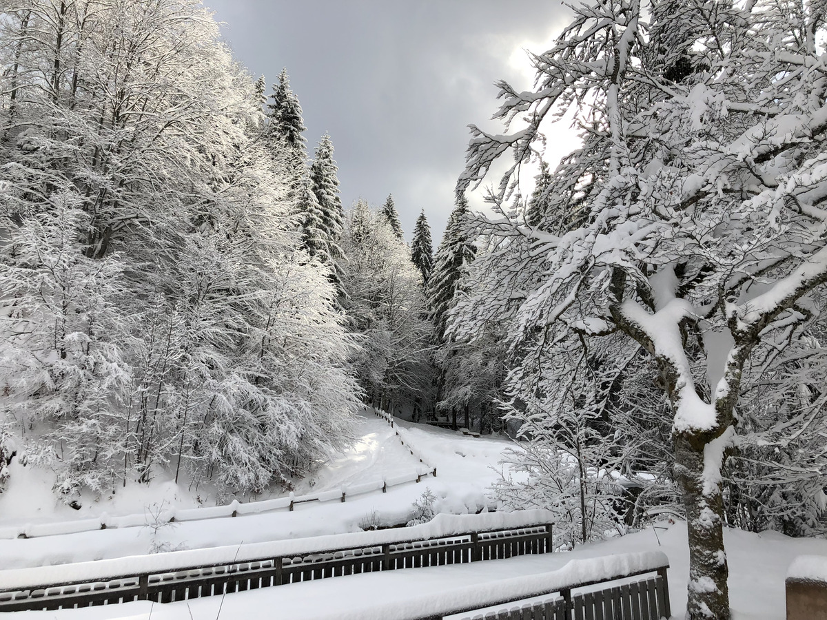 รูปถ่าย ฝรั่งเศส(France) ลากลูซา(La Clusaz) 2017-12 194