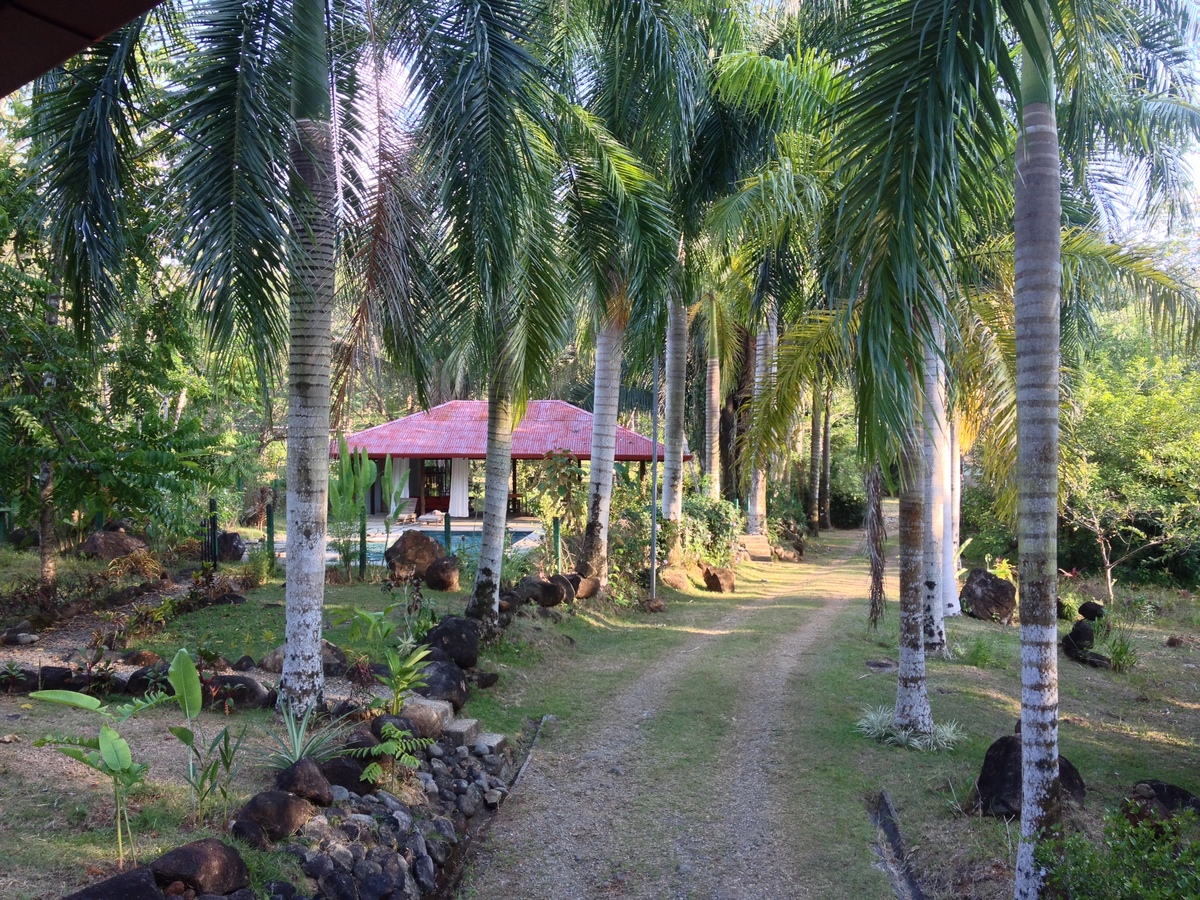 รูปถ่าย คอสตาริกา(Costa Rica) อูบีตา(Uvita) 2015-03 52