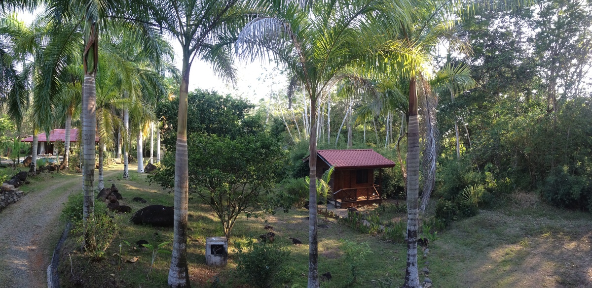 รูปถ่าย คอสตาริกา(Costa Rica) อูบีตา(Uvita) 2015-03 72