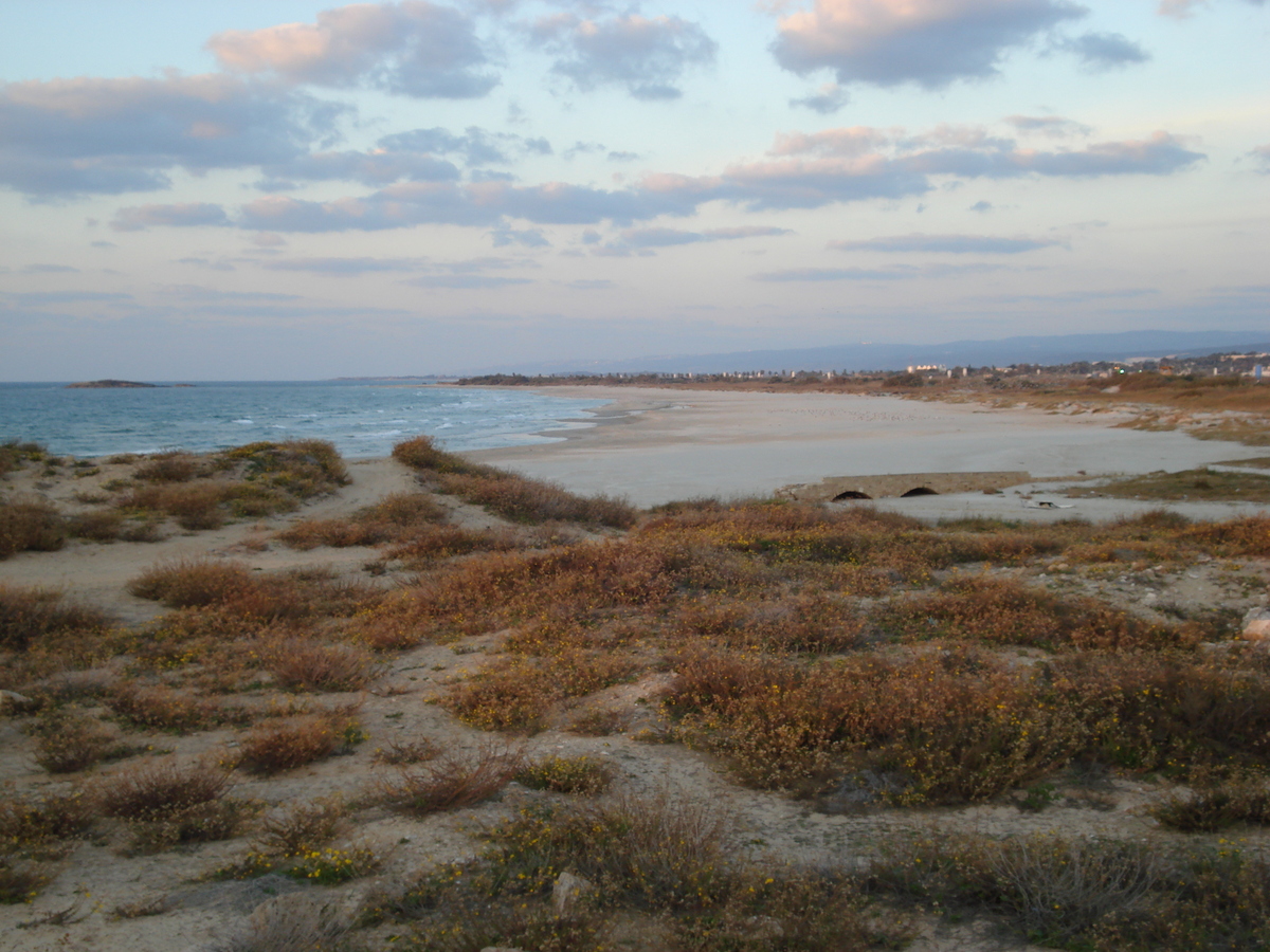 รูปถ่าย อิสราเอล(Israel) จากไฮฟาไปเทลอาวีฟ(From Haifa to Tel Aviv) 2006-12 37