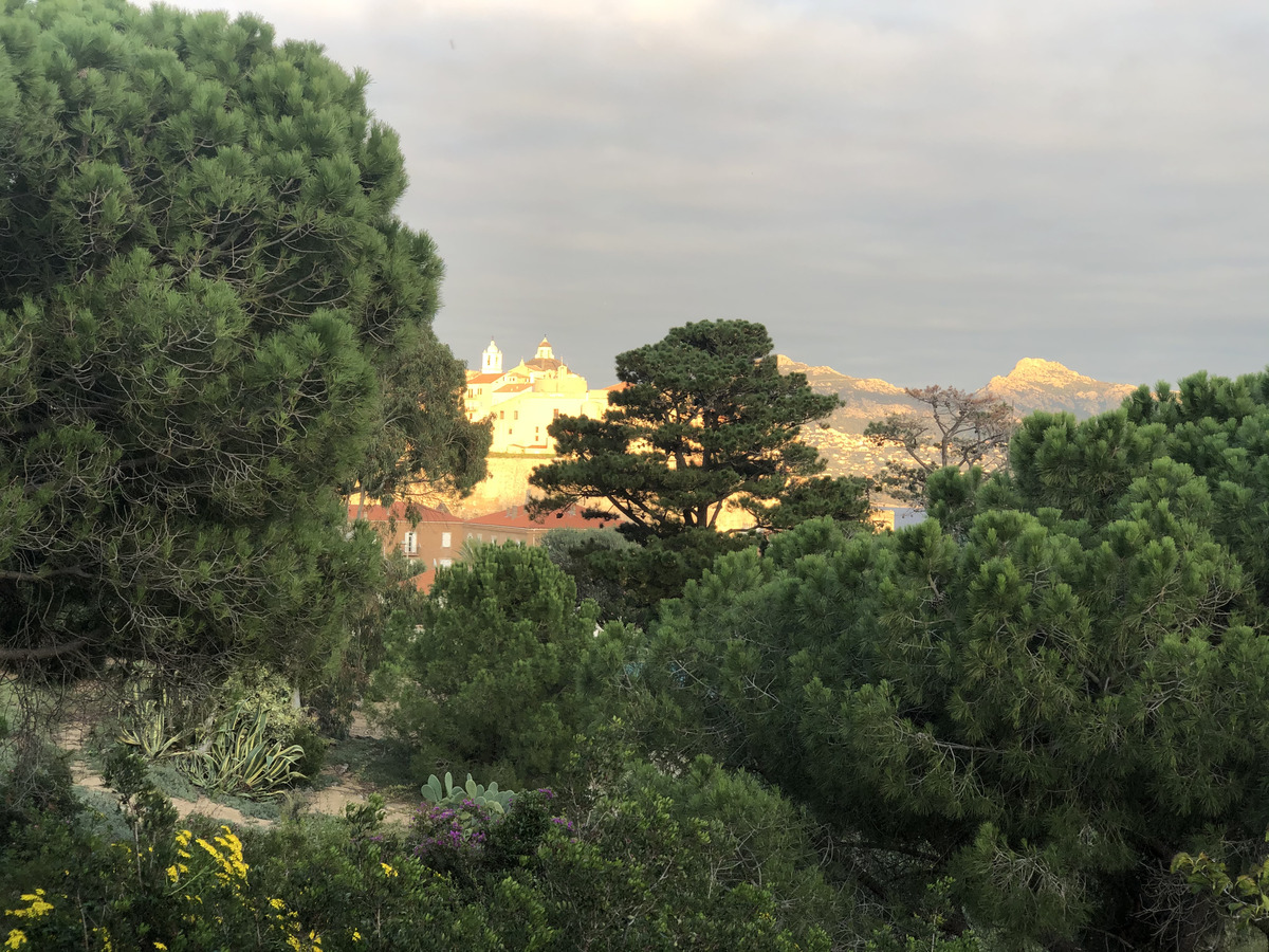 รูปถ่าย ฝรั่งเศส(France) คอร์สิคา(Corsica) คาลวี(Calvi) 2020-10 19