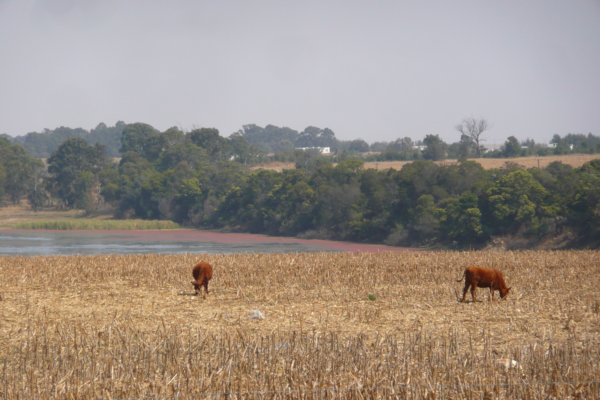 รูปถ่าย แอฟริกาใต้(South Africa) ถนนจากเนลสปรุตไปโจฮันเนสเบิร์ก(Nelspruit to Johannesburg road) 2008-09 79
