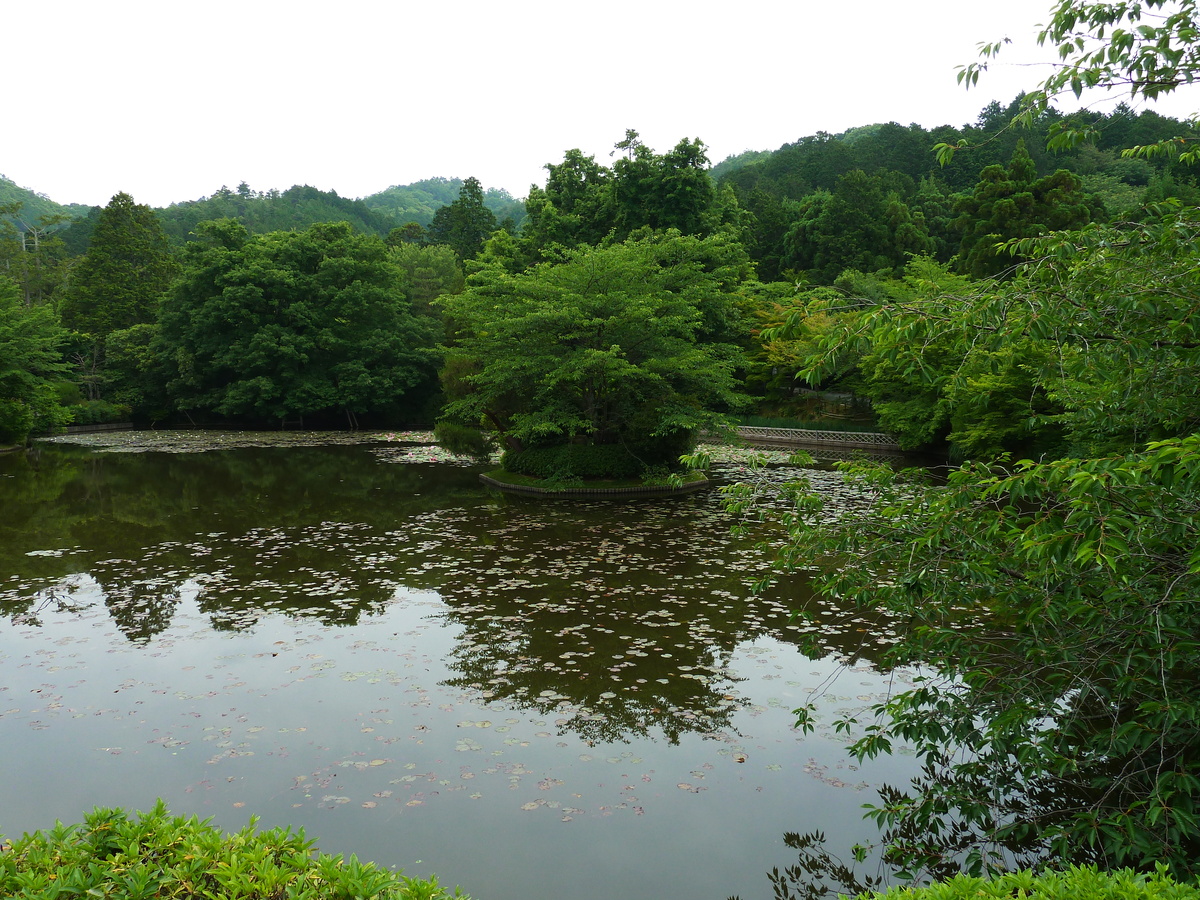 รูปถ่าย ญี่ปุ่น(Japan) เกียวโต(Kyoto) วัดเรียวอันจิ(Ryoanji Temple) 2010-06 56