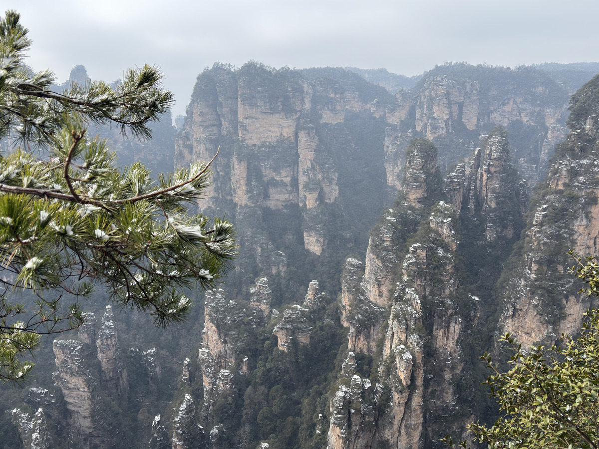 รูปถ่าย จีน(China) จางเจียเจี้ย(Zhangjiajie) 2026-01 249