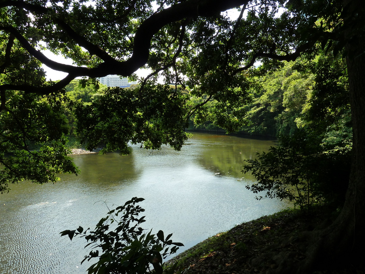 รูปถ่าย ญี่ปุ่น(Japan) โตเกียว(Tokyo) สวนฮามะริคิว(Hama rikyu Gardens) 2010-06 71