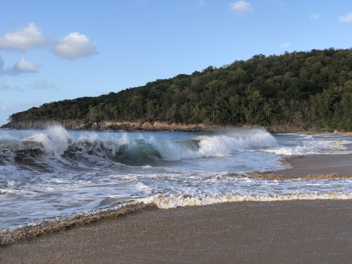 รูปถ่าย กวาเดอลูป(Guadeloupe) หาดลาแปร์ล(La Perle Beach) 2021-02 59