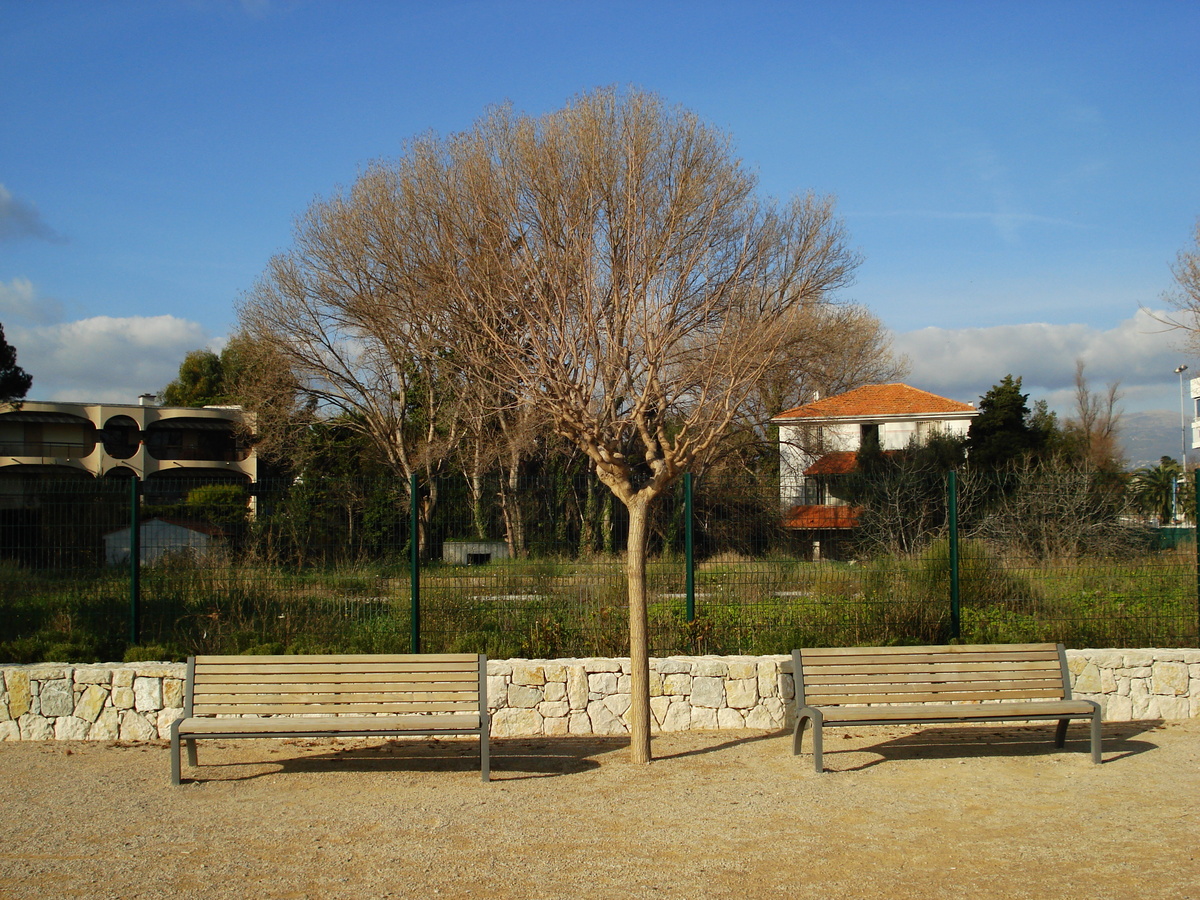 รูปถ่าย ฝรั่งเศส(France) วีลเนิฟ-ลูแบ(Villeneuve Loubet) หาดวีลเนิฟ-ลูแบ(Villeneuve Loubet Beach) 2007-01 11