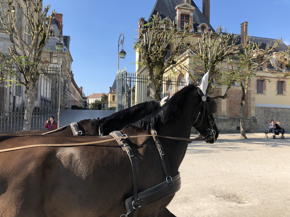 รูปถ่าย ฝรั่งเศส(France) ฟงเทนโบล(Fontainebleau) 2019-04 249