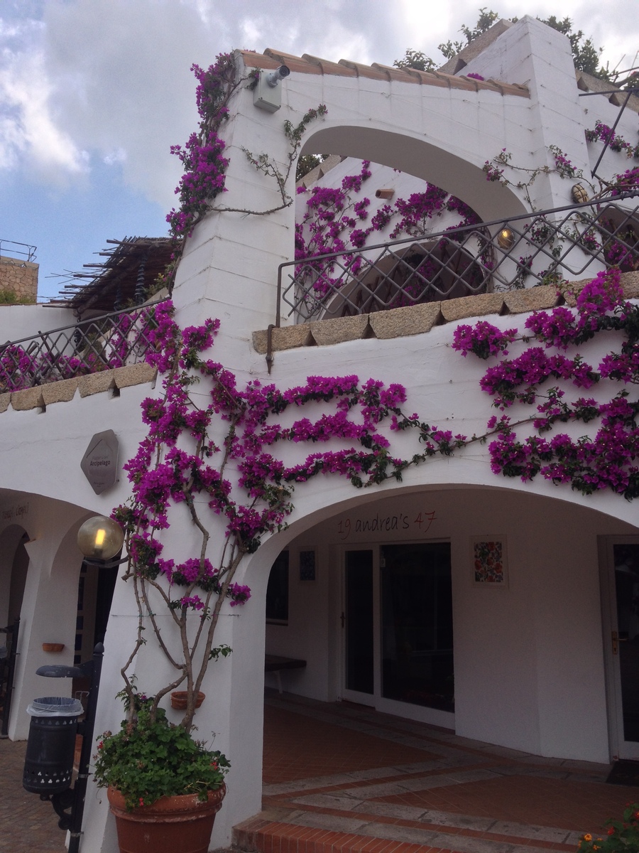 รูปถ่าย อิตาลี(Italy) ซาร์ดิเนีย(Sardinia) ปอลตูกวาตู(Poltu Quatu) 2015-06 9