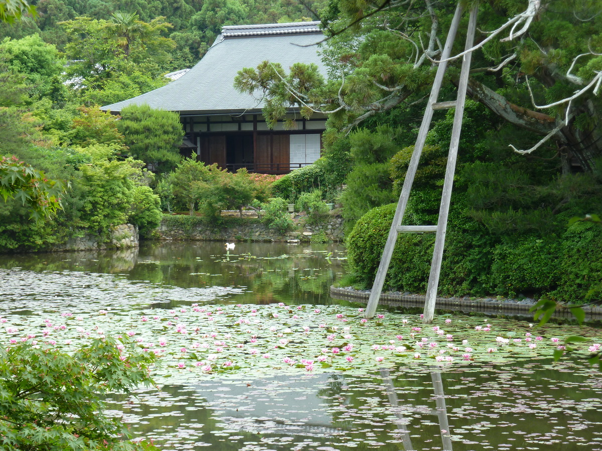 รูปถ่าย ญี่ปุ่น(Japan) 2010-06 62