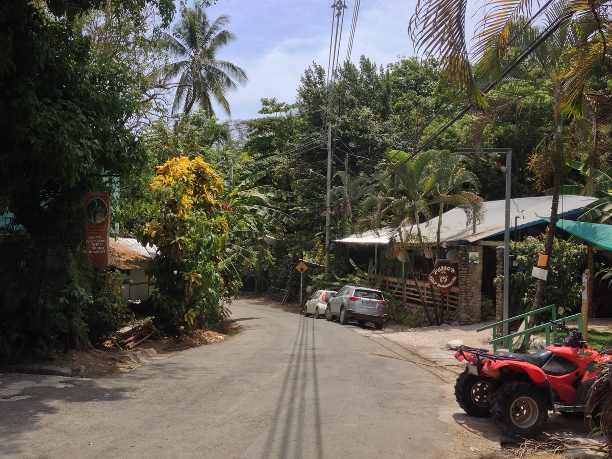 รูปถ่าย คอสตาริกา(Costa Rica) มอนเตซูมา(Montezuma) 2015-03 88