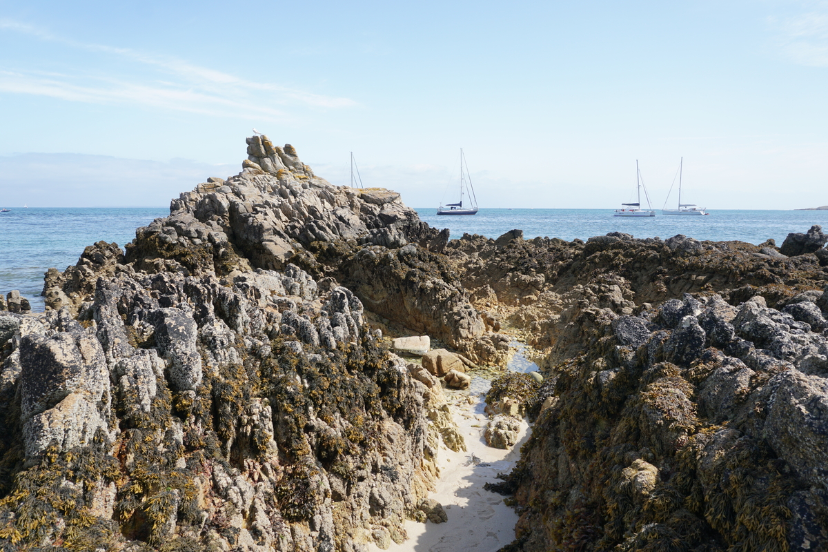 รูปถ่าย ฝรั่งเศส(France) เกาะเอดิก(Hoedic) 2016-08 37
