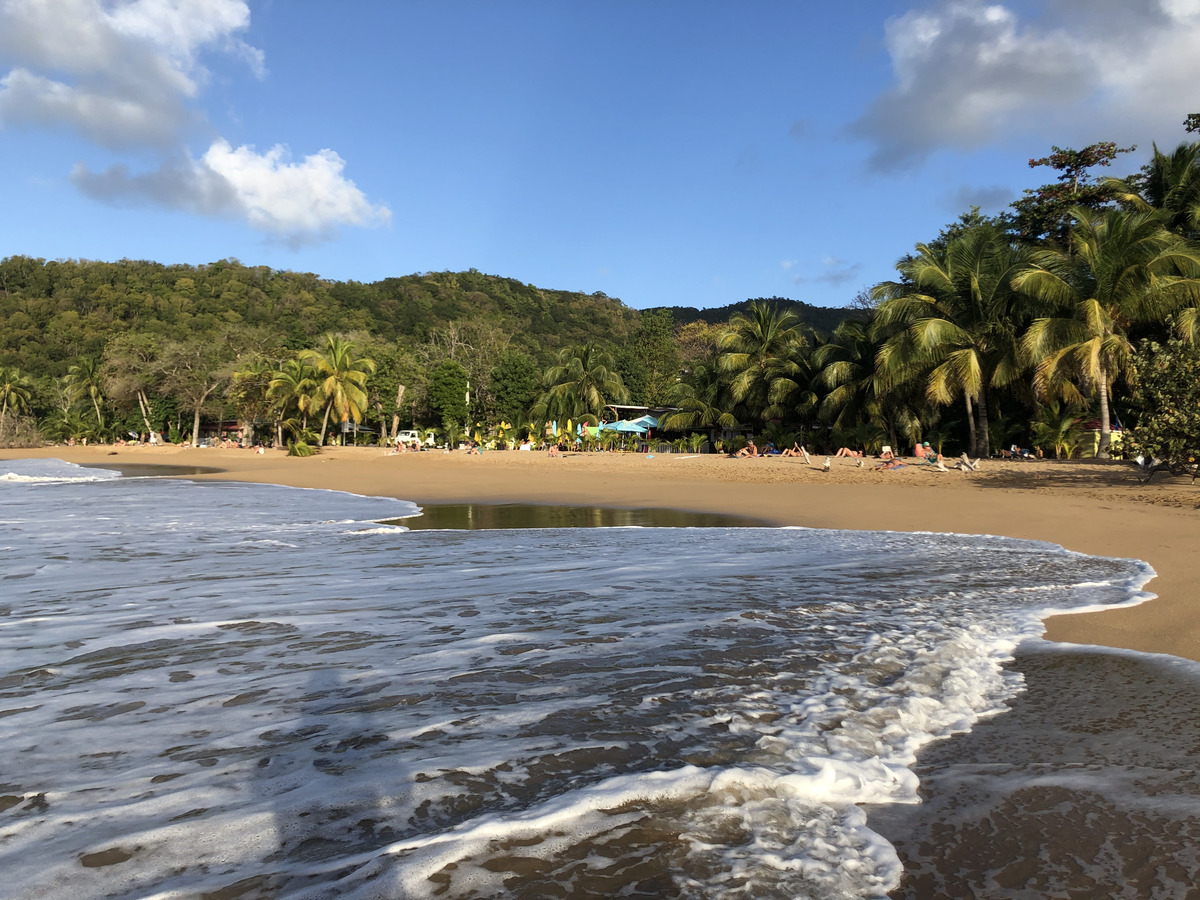 รูปถ่าย กวาเดอลูป(Guadeloupe) หาดลาแปร์ล(La Perle Beach) 2021-02 3
