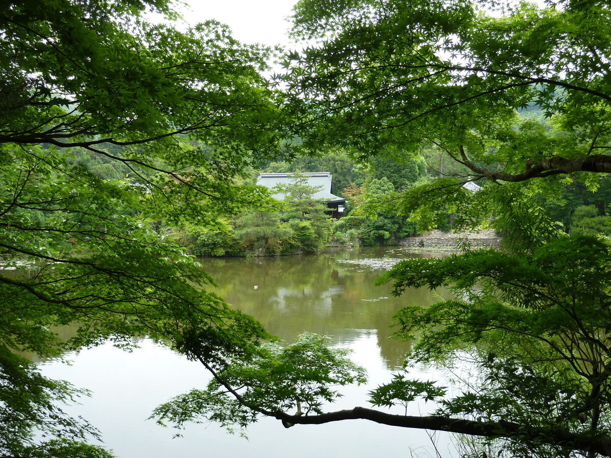 รูปถ่าย ญี่ปุ่น(Japan) เกียวโต(Kyoto) วัดเรียวอันจิ(Ryoanji Temple) 2010-06 57