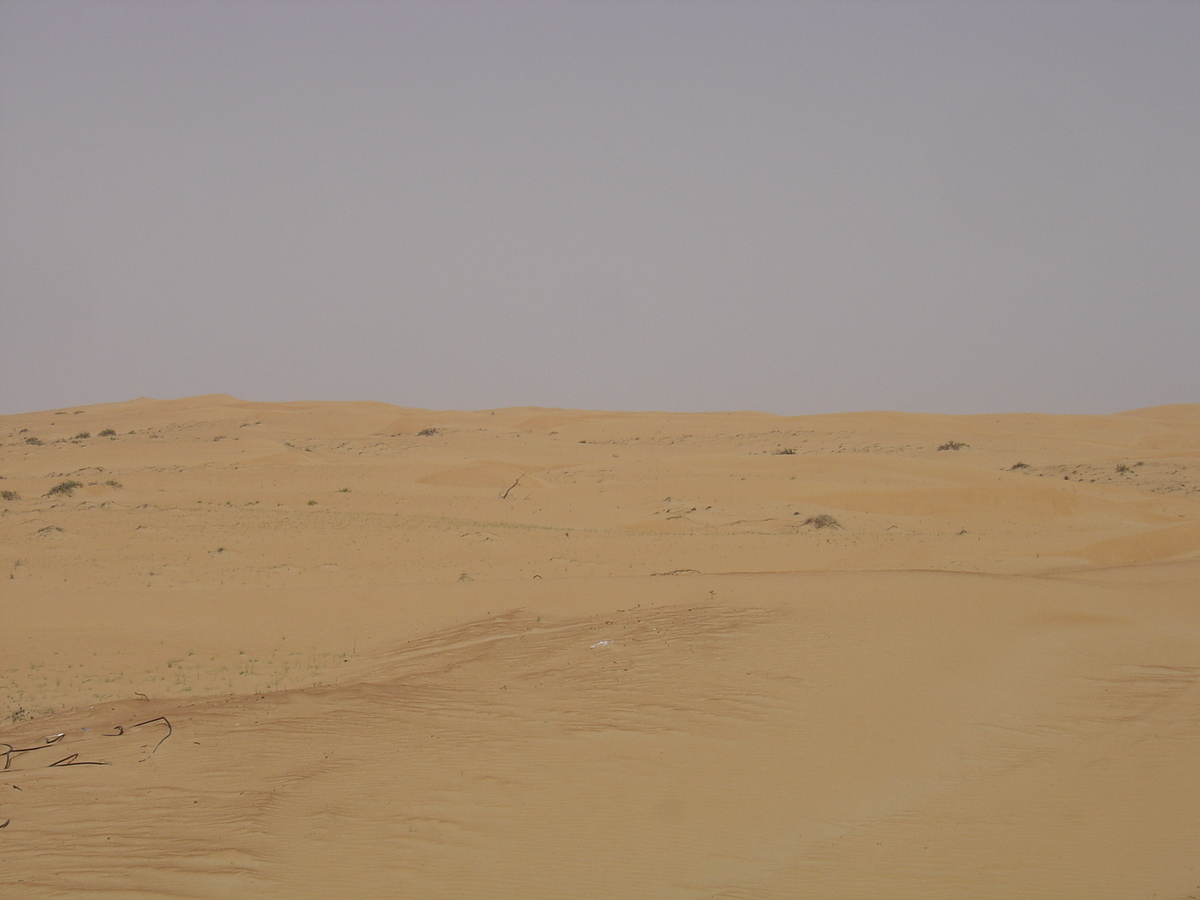 รูปถ่าย สหรัฐอาหรับเอมิเรตส์(United Arab Emirates) จากดูไบไปถนนอัลอิน(Dubai to Al Ain road) 2005-03 57