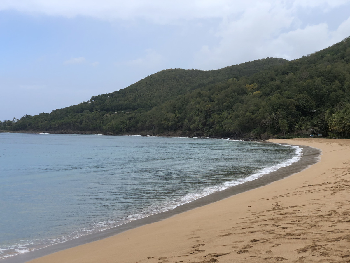 รูปถ่าย กวาเดอลูป(Guadeloupe) หาดกร็องด์อ็องส์(Grande Hanse Beach) 2021-02 9
