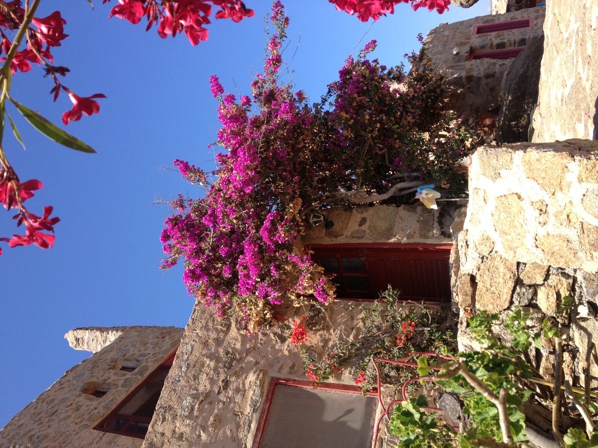 รูปถ่าย กรีก(Greece) เกาะมิโคนอส(Mykonos) 2014-07 363