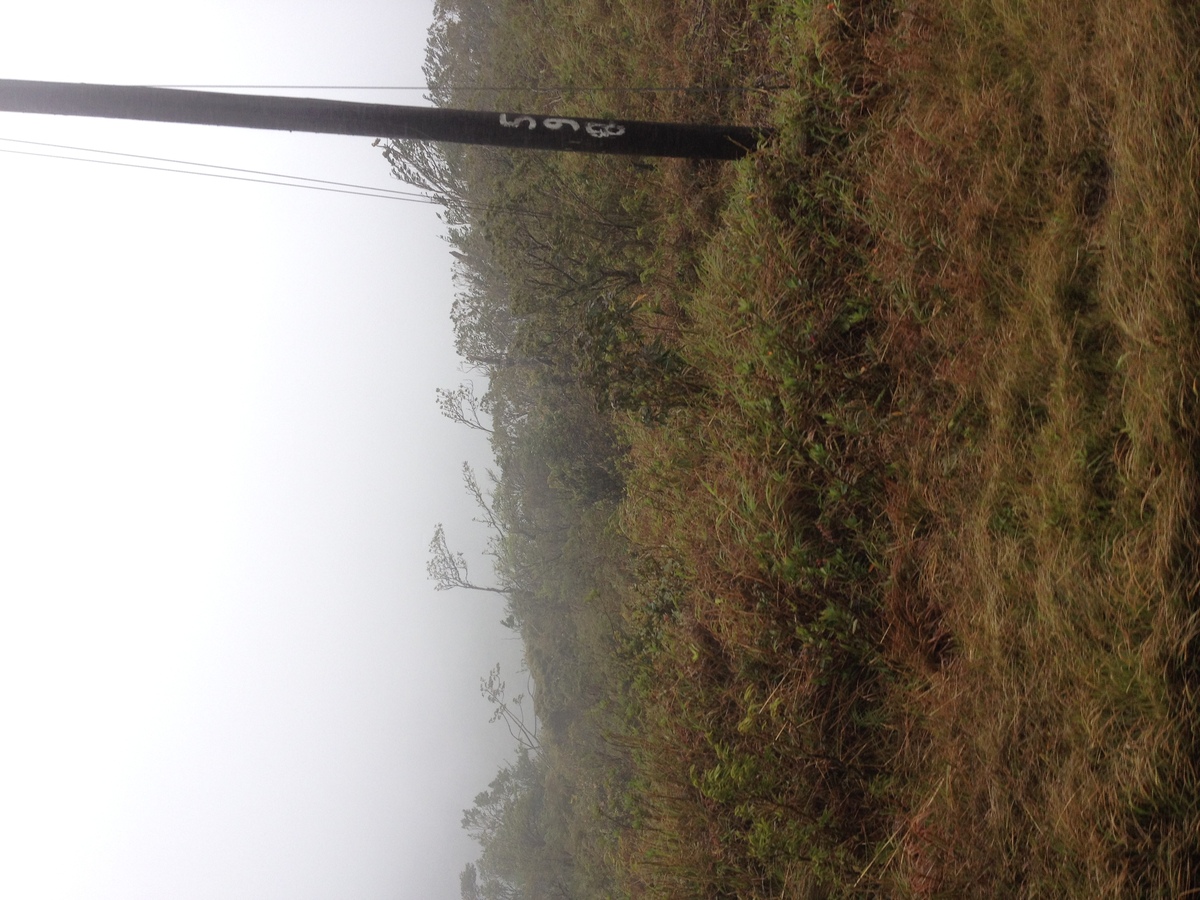 รูปถ่าย ปานามา(Panama) จากดาบิดไปโบกัสเดลโตโร(David to Bocas del toro) 2015-03 14