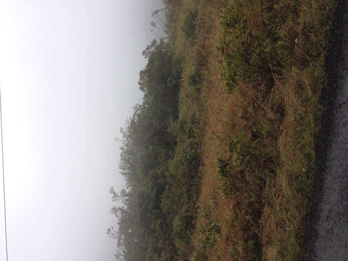รูปถ่าย ปานามา(Panama) จากดาบิดไปโบกัสเดลโตโร(David to Bocas del toro) 2015-03 3