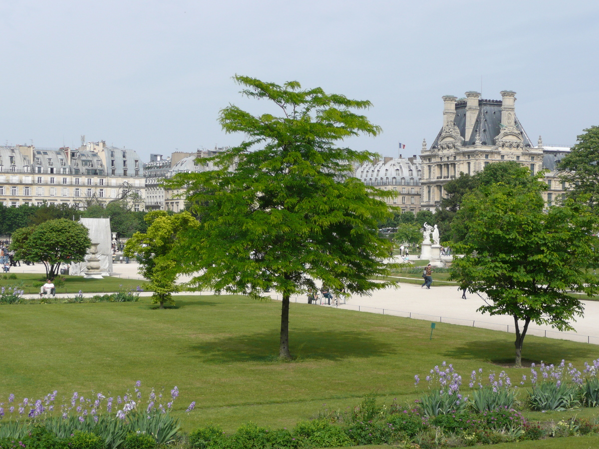 รูปถ่าย ฝรั่งเศส(France) ปารีส(Paris) สวนตุยเลอรี(Garden of Tuileries) 2007-05 302